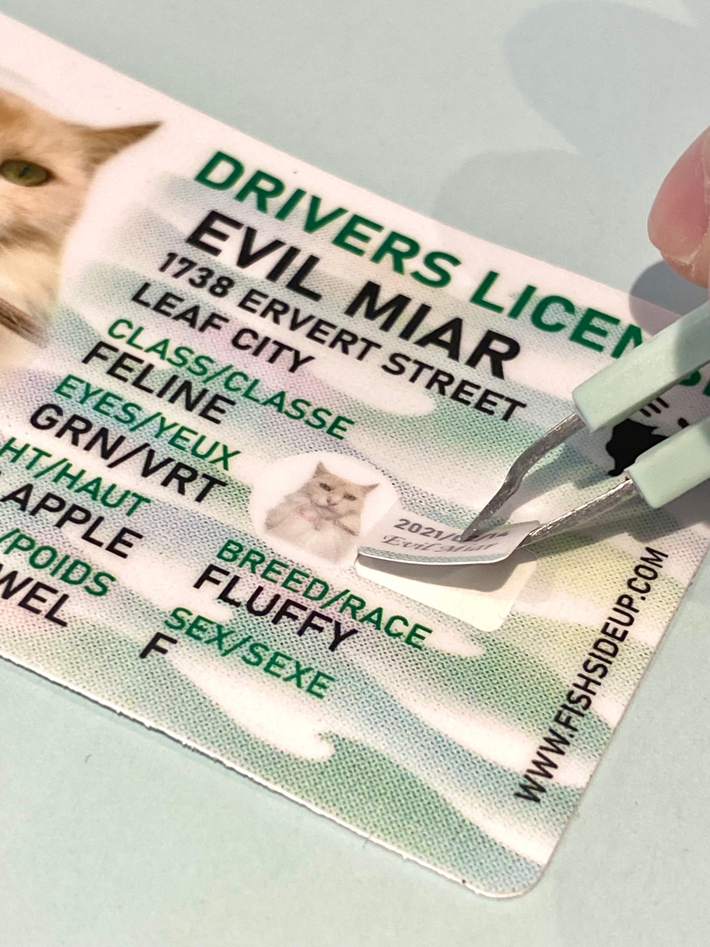 Evil Miar Sticker