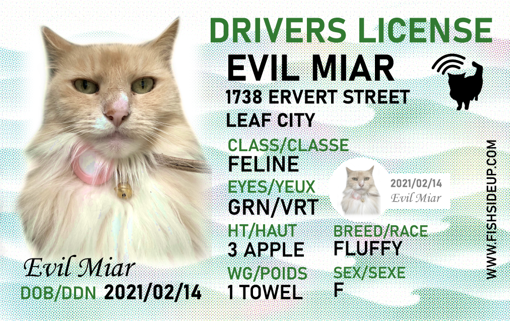 Evil Miar Sticker