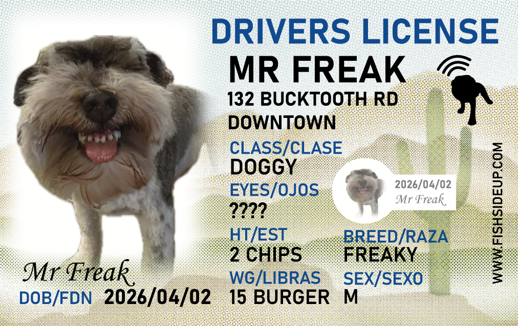 Mr Freak Sticker